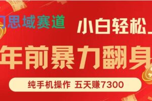 (16881期)年前爆火项目,每单可以赚个300-2000,5天赚了7300