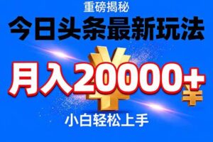 （17112期）今日头条代运营最新玩法，轻轻松松月入20000＋