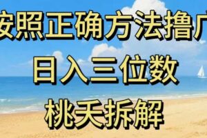 最新零撸看广告賺米，按照正确方法撸广，日入三位数，适合学生宝妈上班族