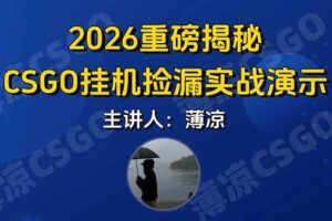(17258期)CSGO游戏挂机游戏搬砖最新升级,普通小白一部手机可日入300+当天见结果,支持验证