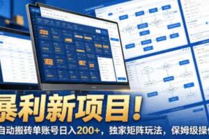 暴利新项目!全自动搬砖单账号日入200+,独家矩阵玩法,保姆级操作【揭秘】