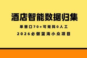酒店智能数据归集,小众蓝海已经稳定半年之久,单窗口70+零成本矩阵开干【揭秘】