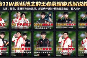 抖音11W粉丝博主的王者荣耀游戏解说教程,文案、配音、素材剪辑全流程,解锁伙伴计划+精选独家收益,日入1k+
