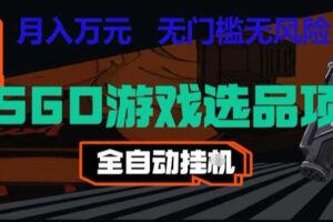 CSGO游戏自动扫货项目,全自动运行,月入1W,无风险,长期稳定可以做【揭秘】