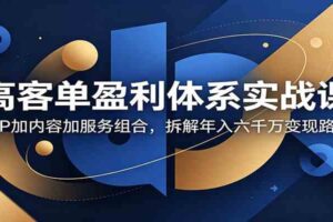 高客单盈利体系实战课:小P加内容加服务组合,拆解年入六千万变现路径