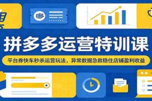 拼多多运营特训课：平台券快车秒杀运营玩法，异常数据急救稳住店铺盈利收益