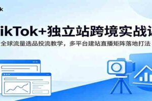 TikTok+独立站跨境实战课:全球流量选品投流教学,多平台建站直播矩阵落地打法