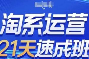 淘系运营21天速成班,0基础轻松搞定淘系运营,不做假把式,快速复制落地(更新26年6月)