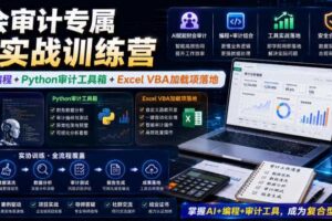 财会审计专属AI实战训练营|AI协同编程+Python审计工具箱+Excel VBA加载项落地