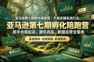 亚马逊孵化陪跑营|千单店铺实战打法,新手合规起店、避坑选品、数据运营全落地(更新0708)