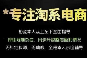 松鼠会电商VIP课程,从基础布局到高阶优化,助你掌握淘宝运营逻辑,提升店铺流量与转化(更新0711)