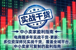 (19447期)电商圈多年实战干货-更新2026:多位资深师兄实战干货/覆盖全域平台,中小卖家可复制的盈利指南