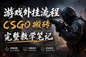 (19719期)游戏挂机全流程笔记分享,CSGO游戏搬砖,小白看了当天学会见收益