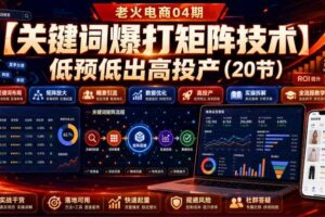 老火电商04期:【关键词爆打矩阵技术】低预低出高投产(20节)