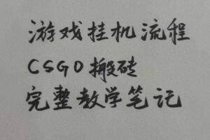 游戏挂G全流程笔记分享,CSGO游戏搬砖,小白看了当天学会见收益【揭秘】
