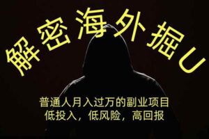 (19841期)解密海外掘U,普通人月入过万的副业项目,低投入、低风险高回报,没有之一