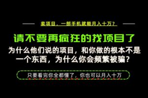 为什么做项目的人大多都是炮灰?为什么只有卖项目才能稳?看完你也可以月入10W+【揭秘】