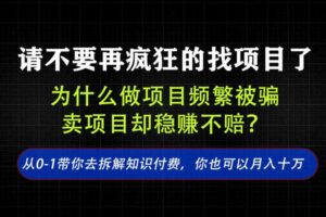 找项目?别傻了!卖项目才是真的一本万利!看完你全都懂了【揭秘】
