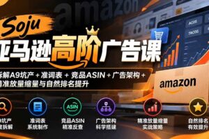 (20831期)Soju亚马逊高阶广告课:拆解A9坑产+准词表+竞品ASIN+广告架构+精准放量缩量与自然排名提升
