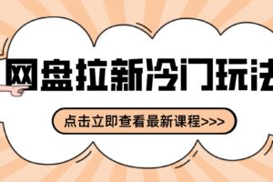网盘拉新贴吧冷门玩法2-3天变现,实操细节全拆解快速上手拓展收益渠道
