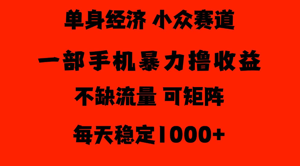 26年暴力单身经济，稳定日入500-1k，不缺流量，流量极大，冷门小众赛道，门槛低小白轻松上手【揭秘】